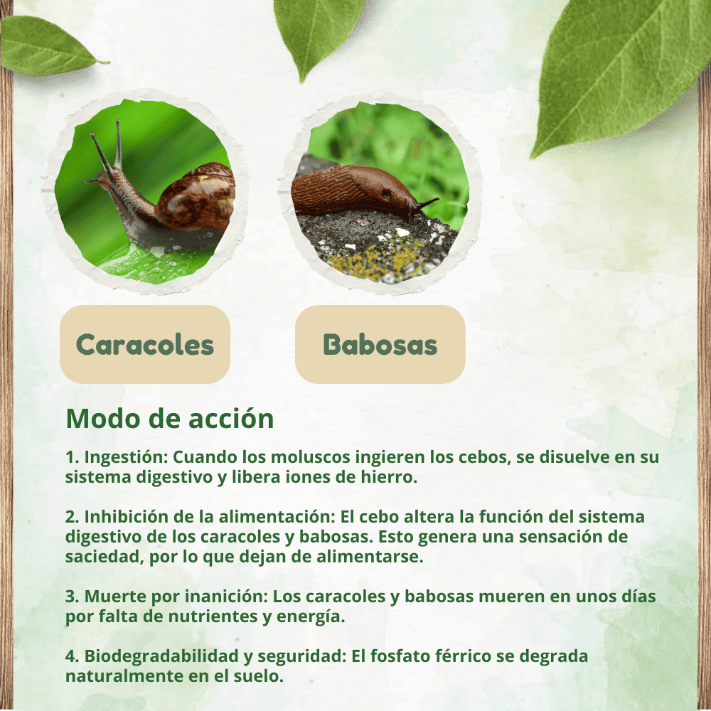 Repelente anti-lesmas, caracóis e lesmas - DOFF