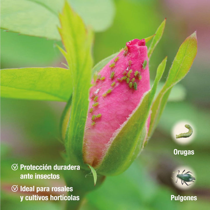 Protect Garden - Inseticida polivalente AL pulgões e lagartas