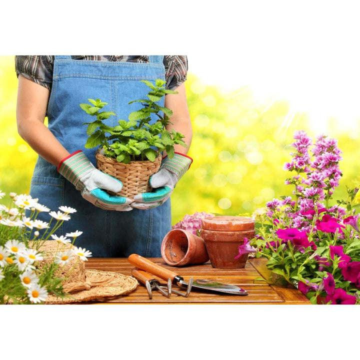 Protect Garden - Inseticida polivalente AL pulgões e lagartas