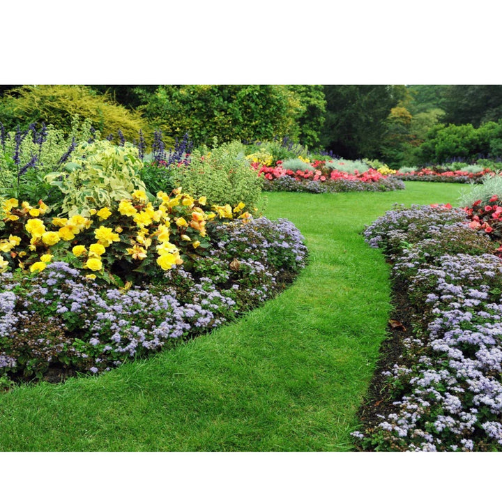 Protect Garden - Inseticida polivalente AL pulgões e lagartas