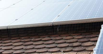 Espetos de Painel Solar - Anti-Aninhamento (Sob Painel)