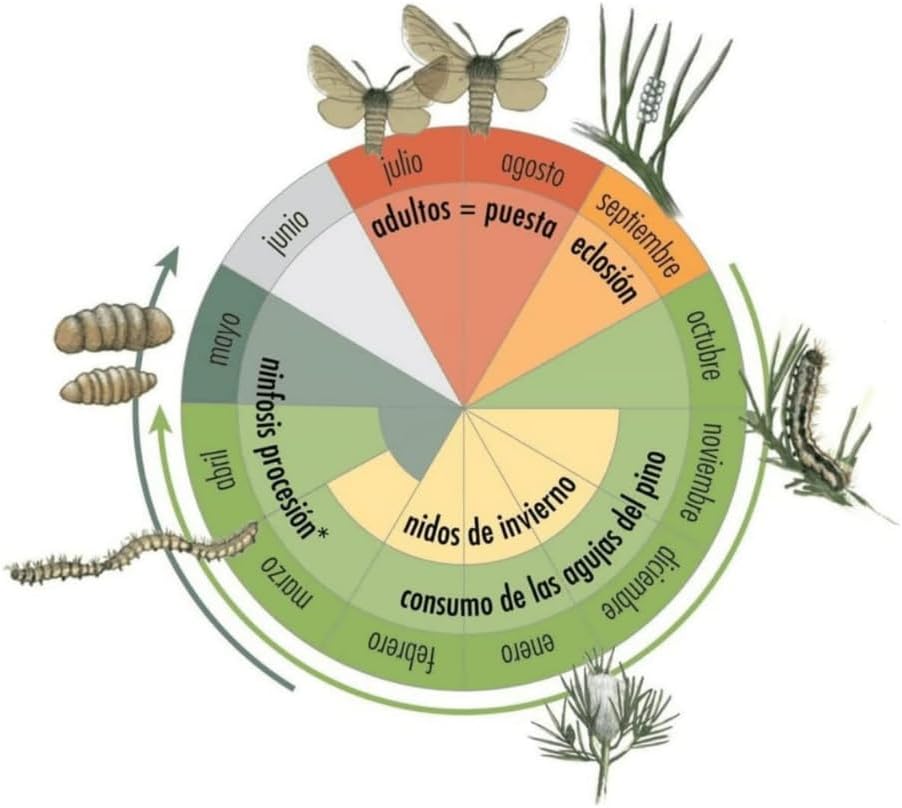 Procerex - Colar-Trap Colar Processionária