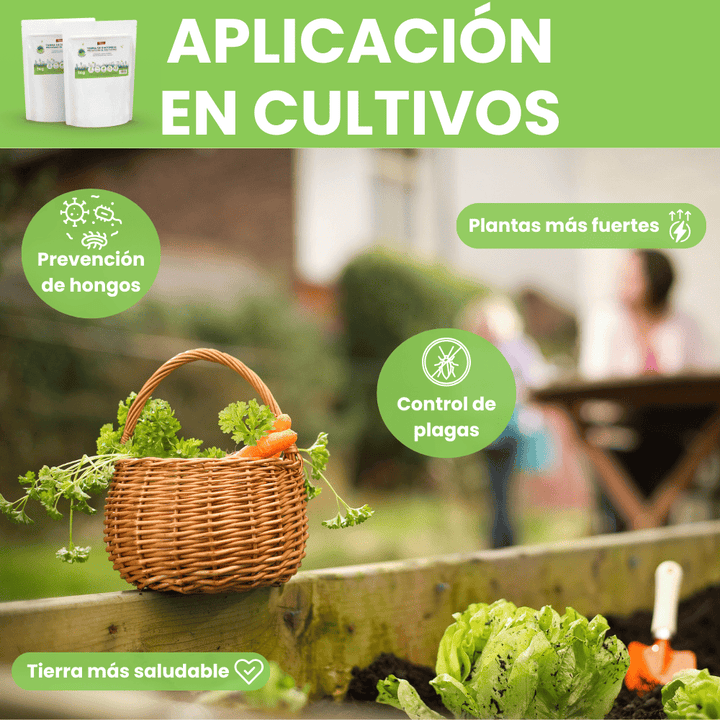 Remi - Terra Diatomácea Micronizada