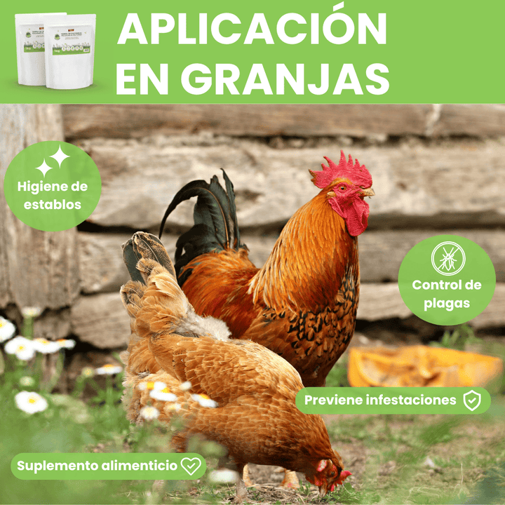 Remi - Terra Diatomácea Micronizada