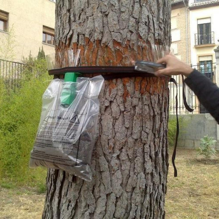 Colar Procerex Processionary