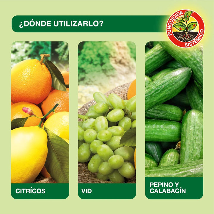 Protect Garden - Aliette WG Fungicida sistêmico Citrus Lawn