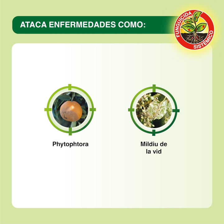 Protect Garden - Aliette WG Fungicida sistêmico Citrus Lawn