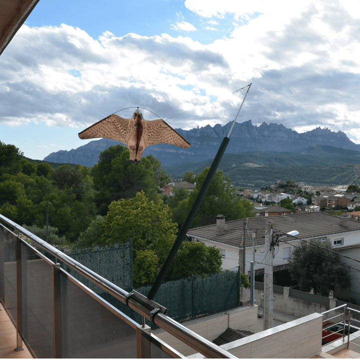 Remi - Espantalho para Eolo Balcony