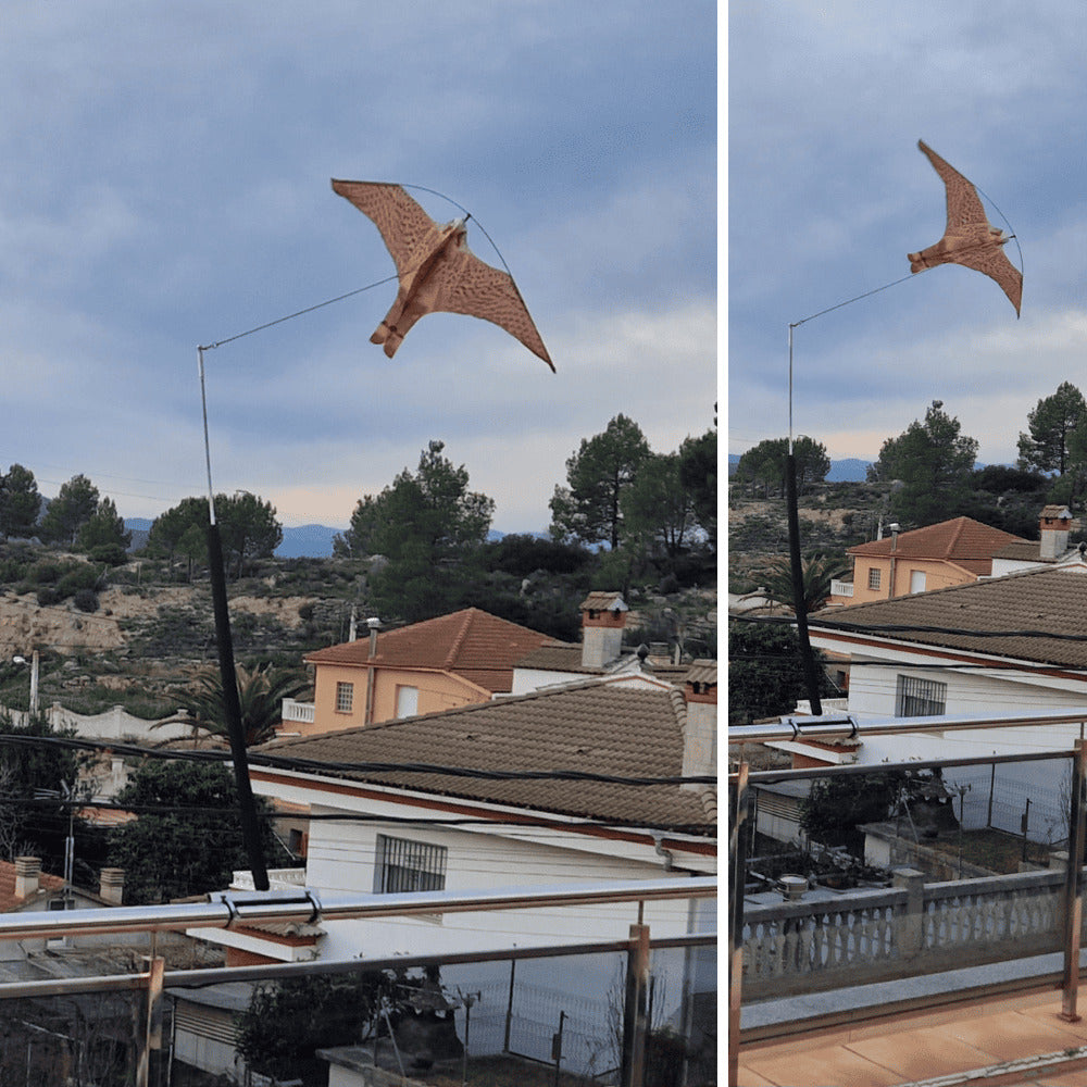 Remi - Espantalho para Eolo Balcony