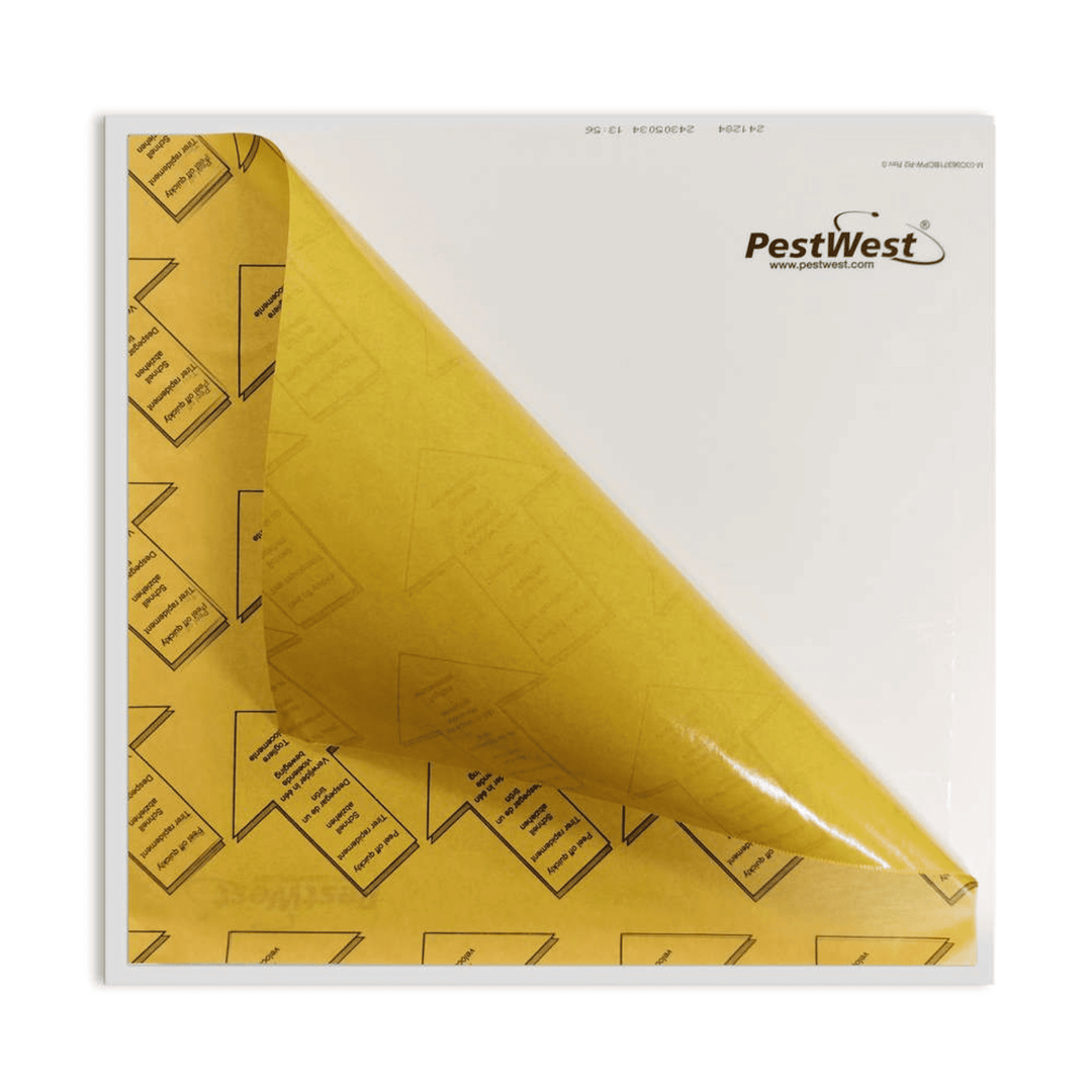 PestWest - Placa adesiva Sunburst