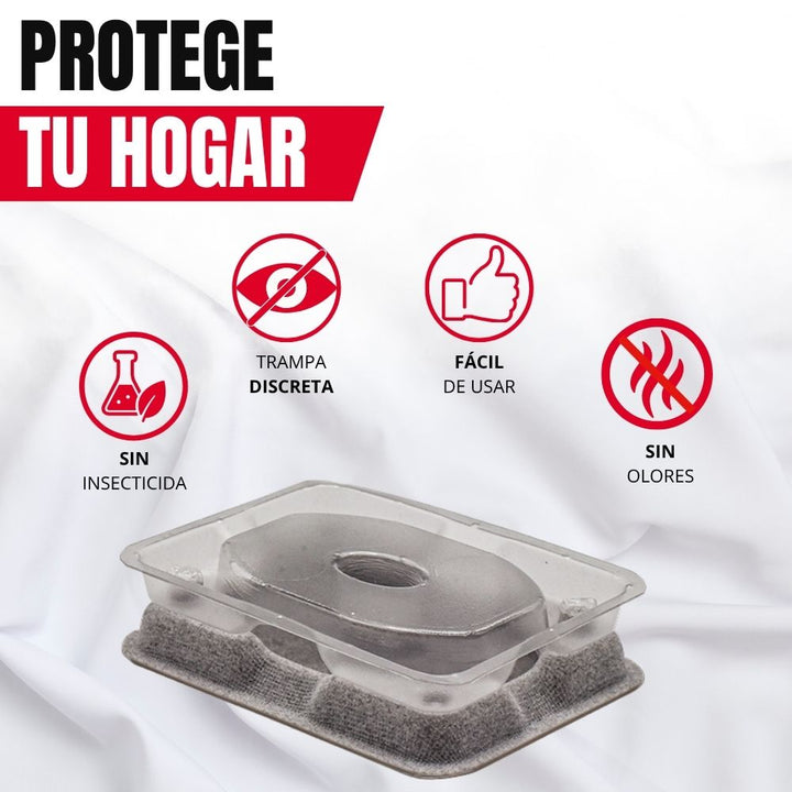 Catchmaster - Armadilha de monitoramento de percevejos