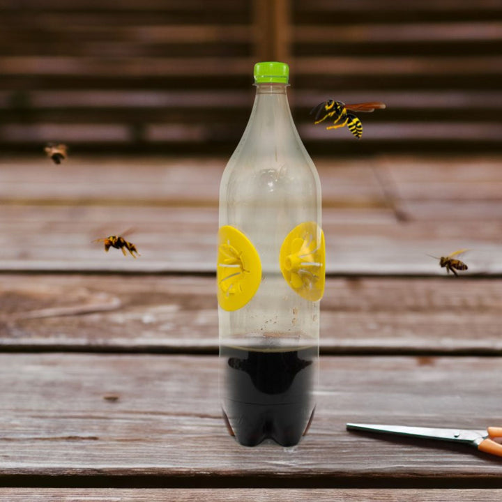 Massó - Armadilha para Vespas Preben Faça Você Mesmo