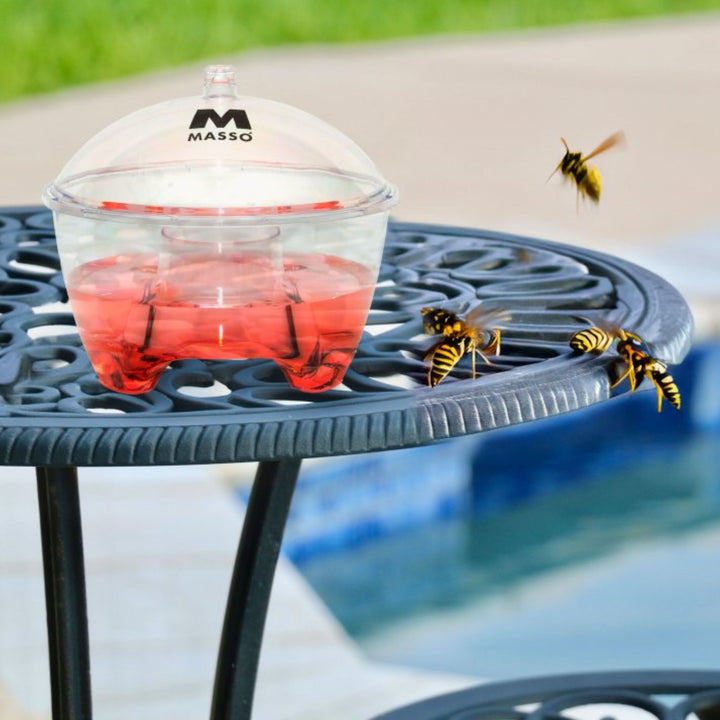 Masso - Atrativo concentrado para vespas Preben