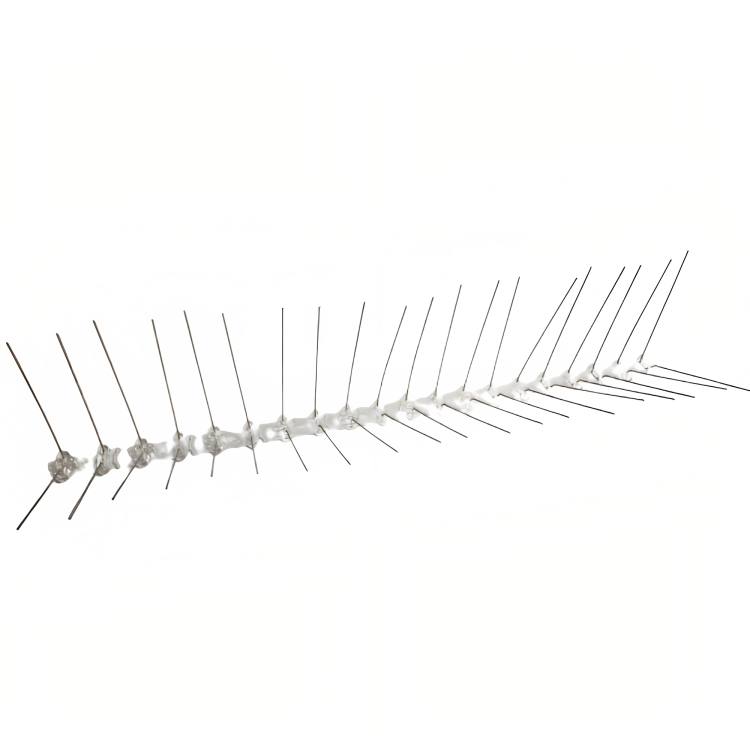 Espetos Painel Solar - Anti Empoleirados (No Painel)