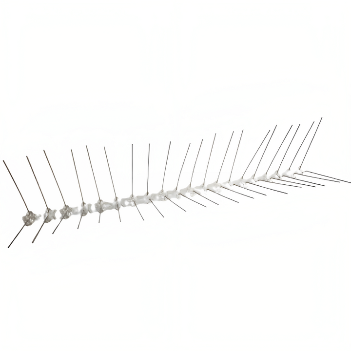 Espetos Painel Solar - Anti Empoleirados (No Painel)