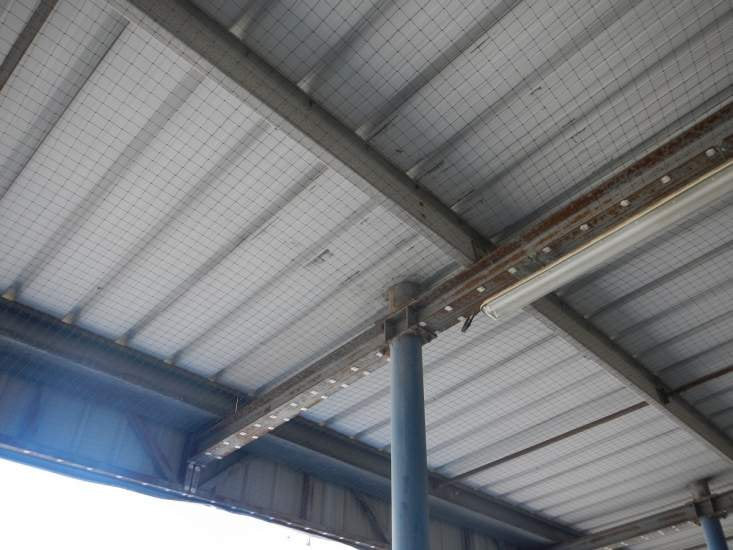 Red Anti Palomas - 5 cm x 5 cm Casa y jardín Remi