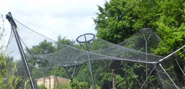 Red Anti Palomas - 5 cm x 5 cm Casa y jardín Remi