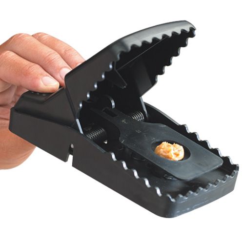 Remi - armadilha para ratos "Rex"