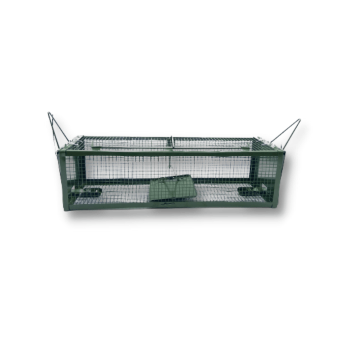 Jaula Ratonera Casa y jardín Remi