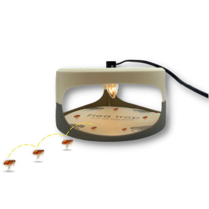 Trampa Adhesiva Para Pulgas Casa y jardín Remi