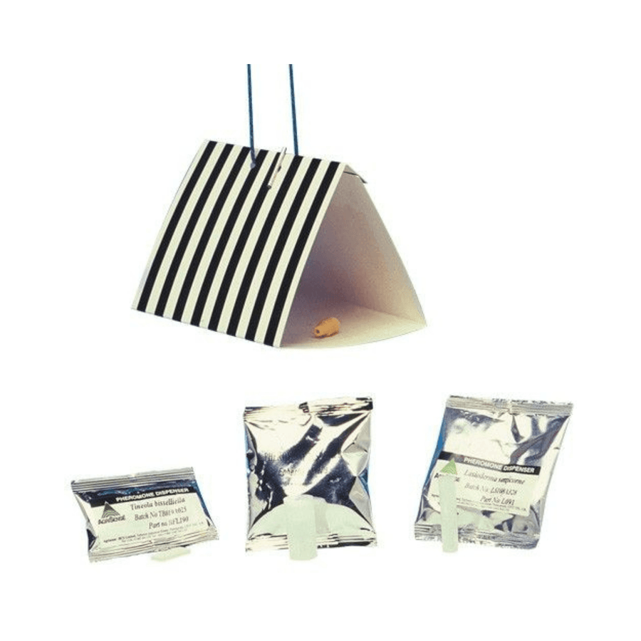 Trampas Delta Escarabajo Tabaco Multiplag