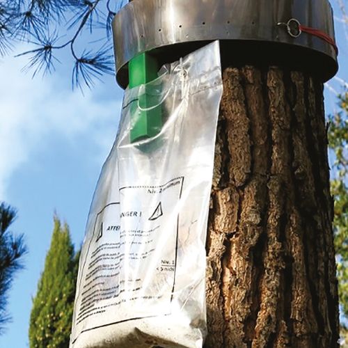 Colar Procerex Processionary