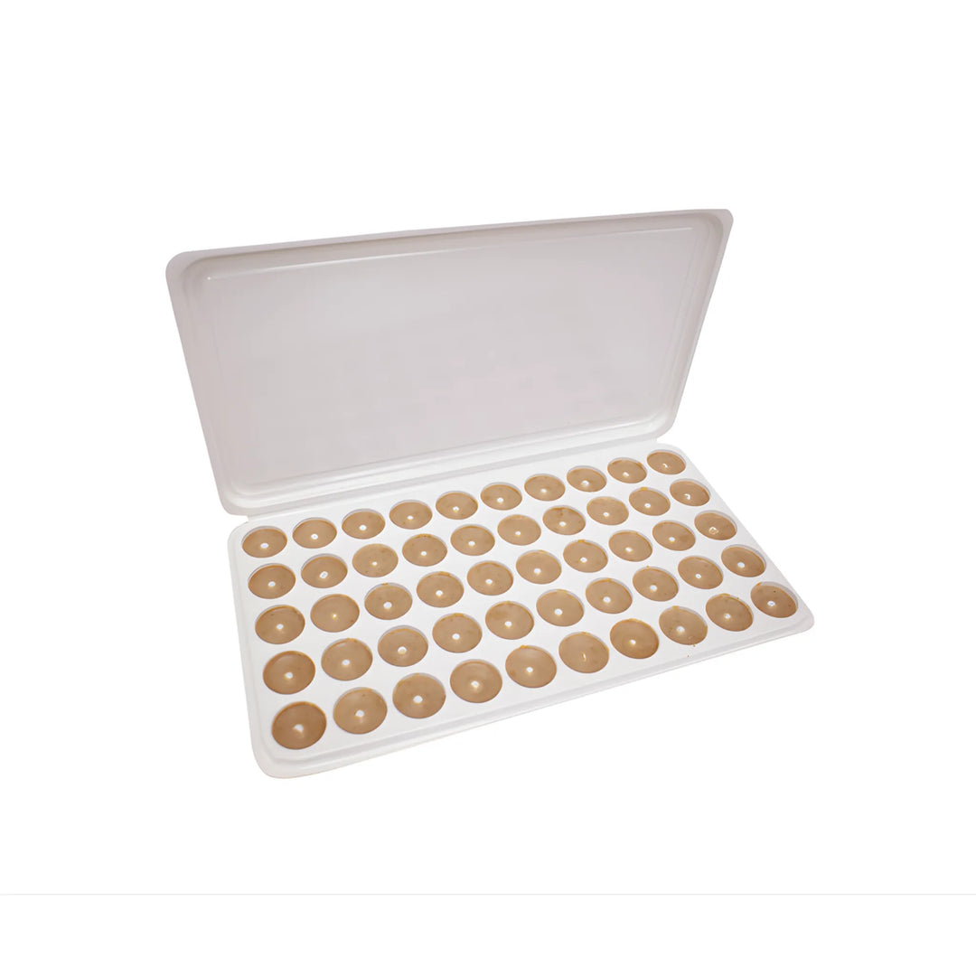 Ecorex Disk One - Isca inseticida de 5g para baratas americanas e orientais