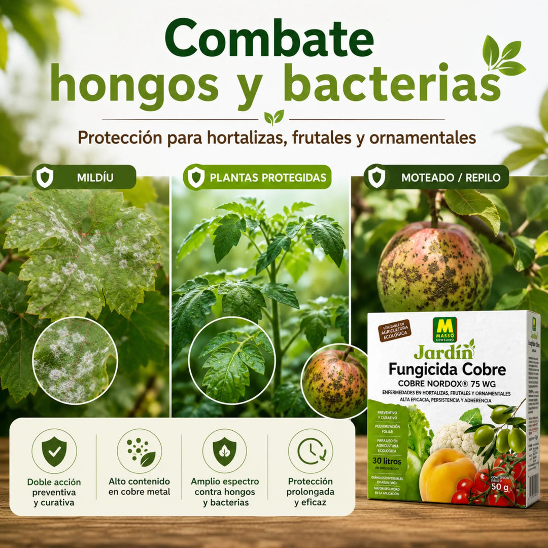 Preben - Fungicida Cobre ECO 50 g Massó para Míldio, Gafa e Bactérias