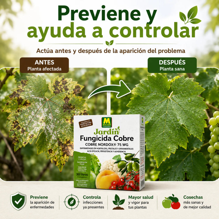 Preben - Fungicida Cobre ECO 50 g Massó para Míldio, Gafa e Bactérias