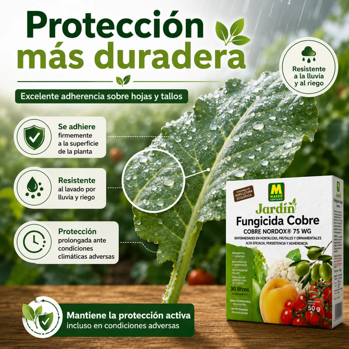 Preben - Fungicida Cobre ECO 50 g Massó para Míldio, Gafa e Bactérias