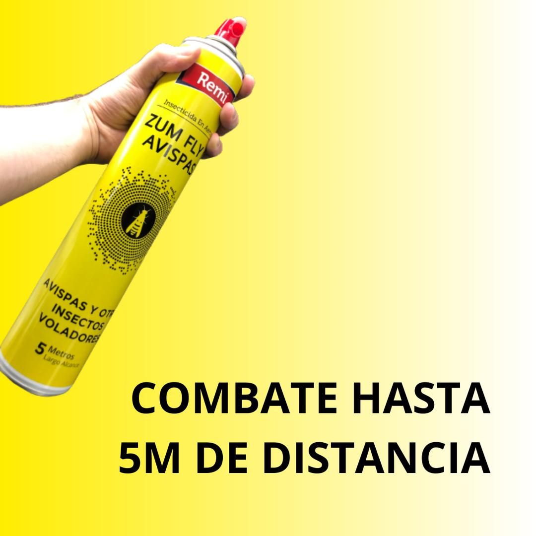 Remi - Spray Insecticida avispas, avispón y avispa asiática 750 ml