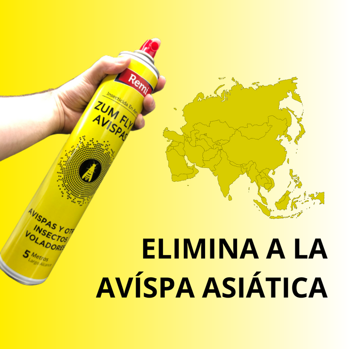 Remi - Spray Insecticida avispas, avispón y avispa asiática 750 ml