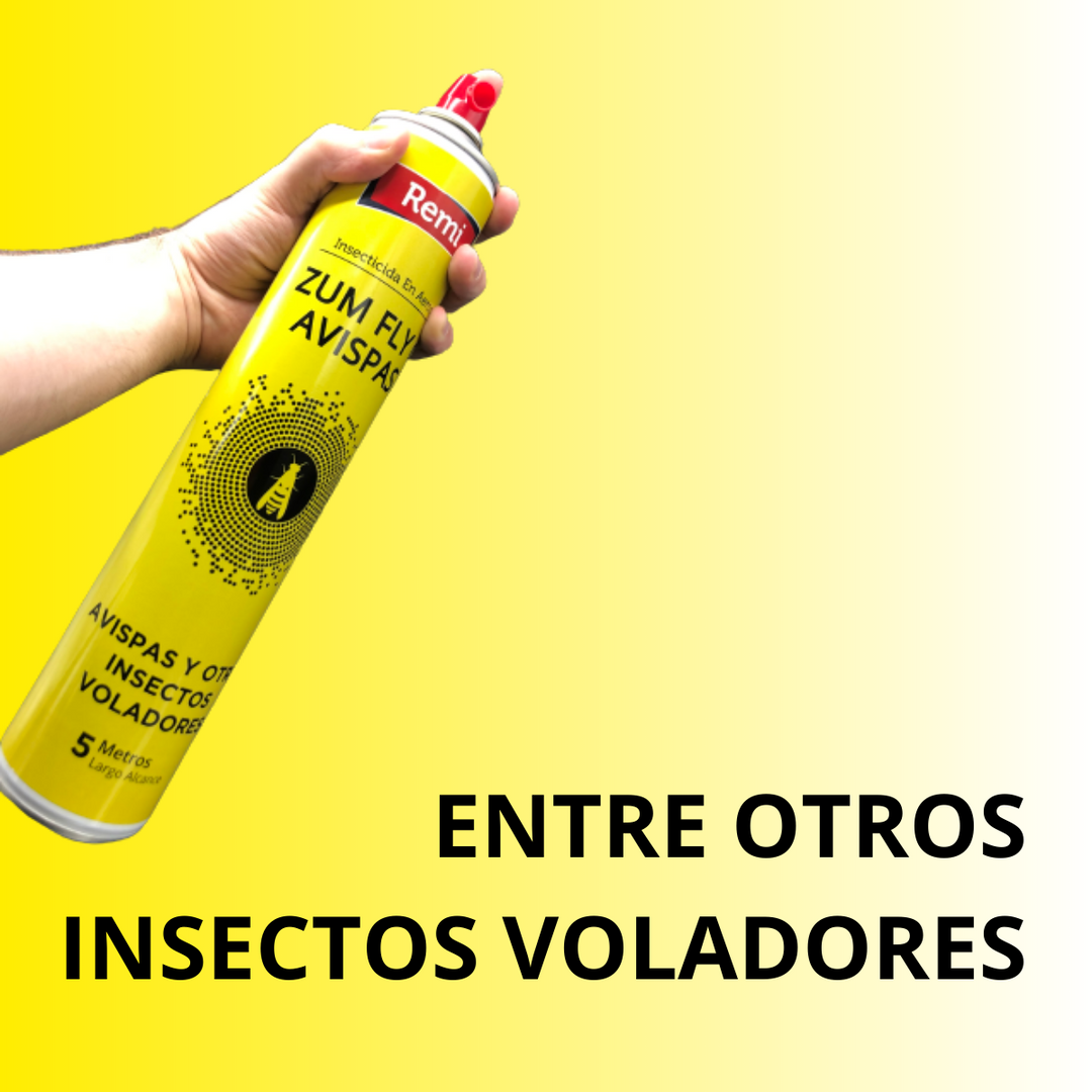 Remi - Spray Insecticida avispas, avispón y avispa asiática 750 ml