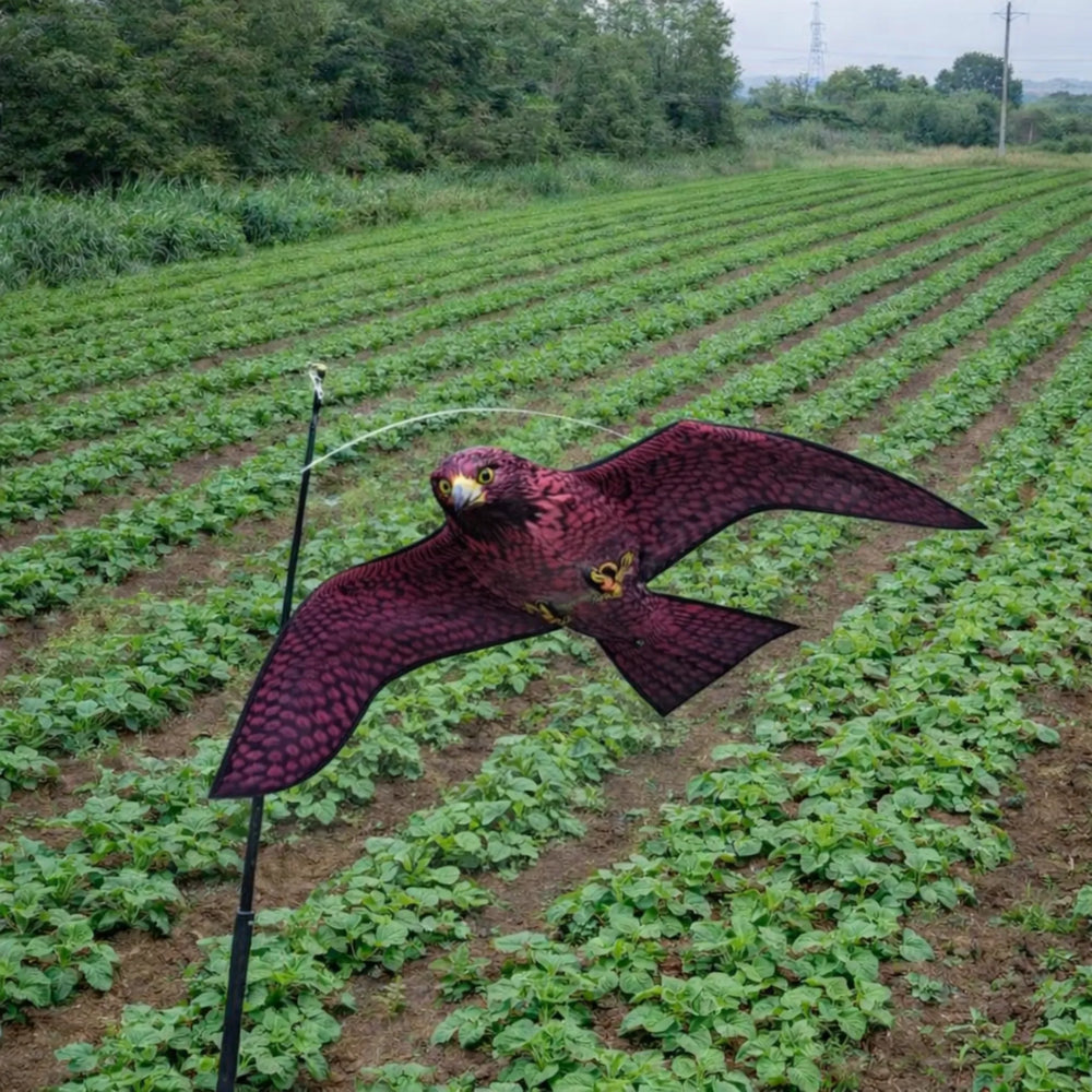 Remi - Halcón Espantapájaros con Mástil 6 metros Ahuyentador Natural de Aves