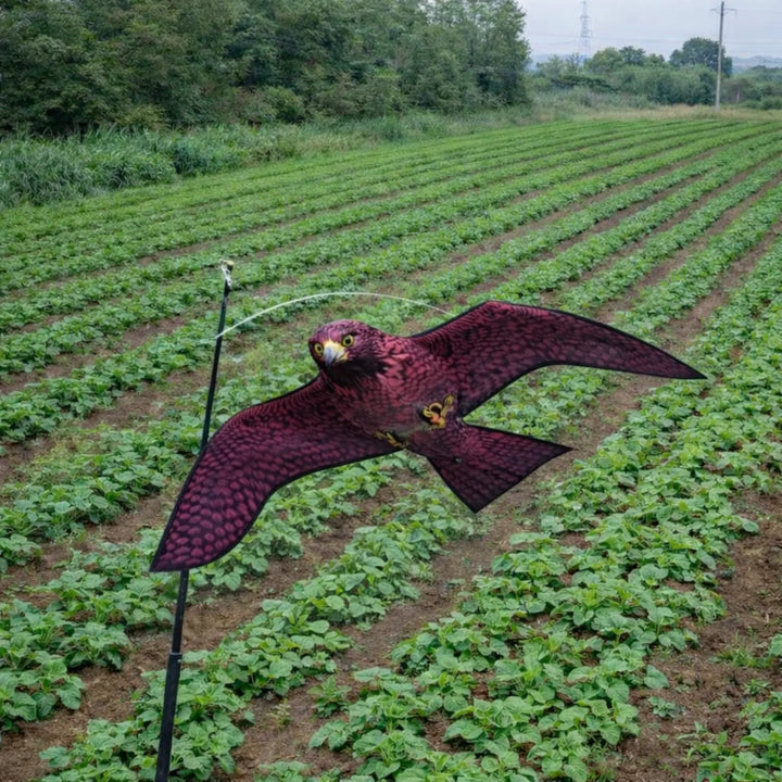 Remi - Halcón Espantapájaros con Mástil 6 metros Ahuyentador Natural de Aves