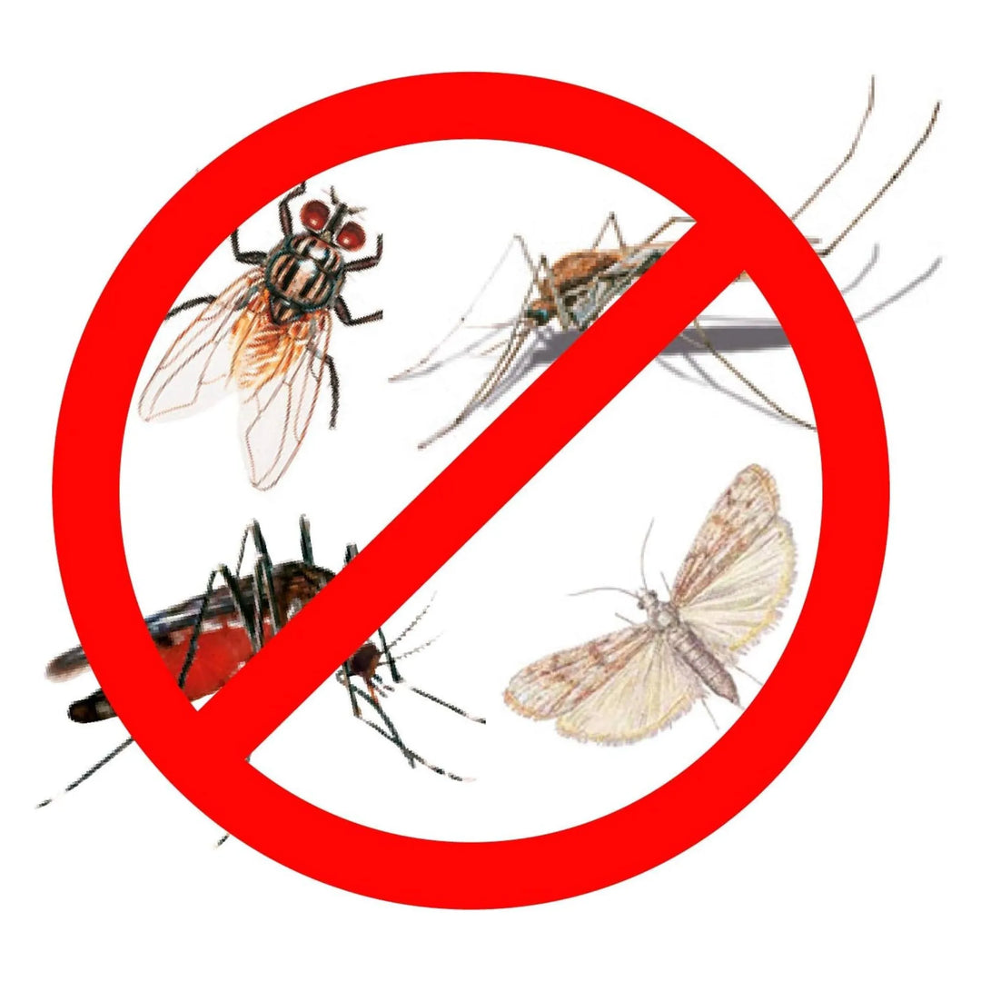 Insecticida de 500 ml persistente para exterior para eliminar los mosquitos.