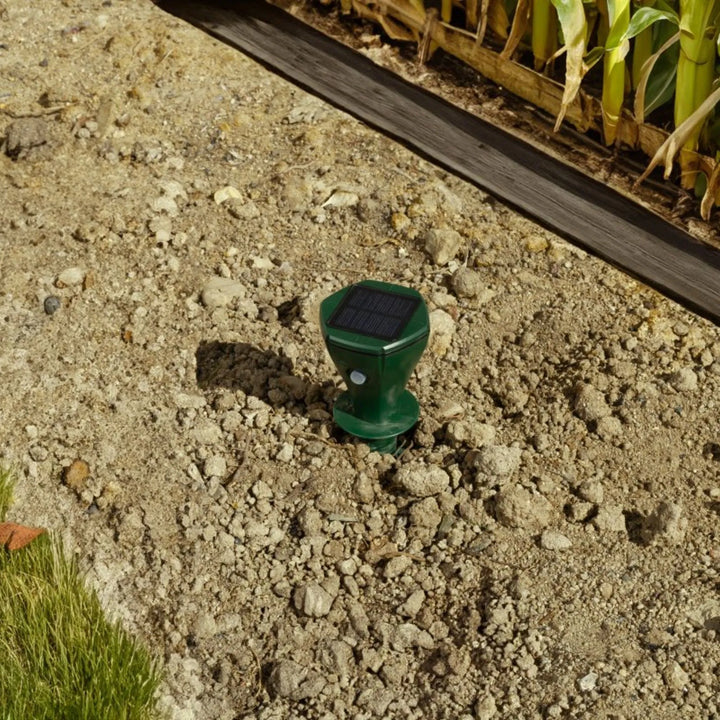 Massó - Tornillo Repelente de Topos Solar ROE 3 unidades 650 m²