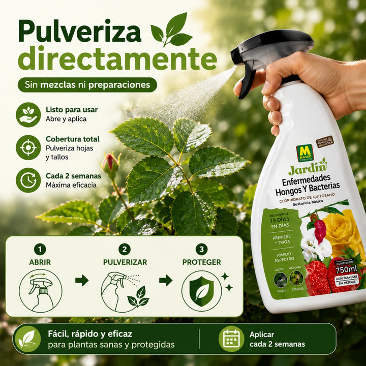 Solución lista para usar contra mildiu, roya y manchas foliares Massó jardín