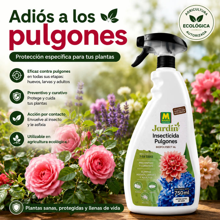 Tratamiento específico para eliminar colonias de pulgones con acción física sobre huevos, larvas y adultos Massó