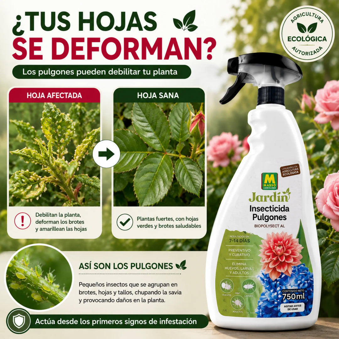 Tratamiento específico para eliminar colonias de pulgones con acción física sobre huevos, larvas y adultos Massó