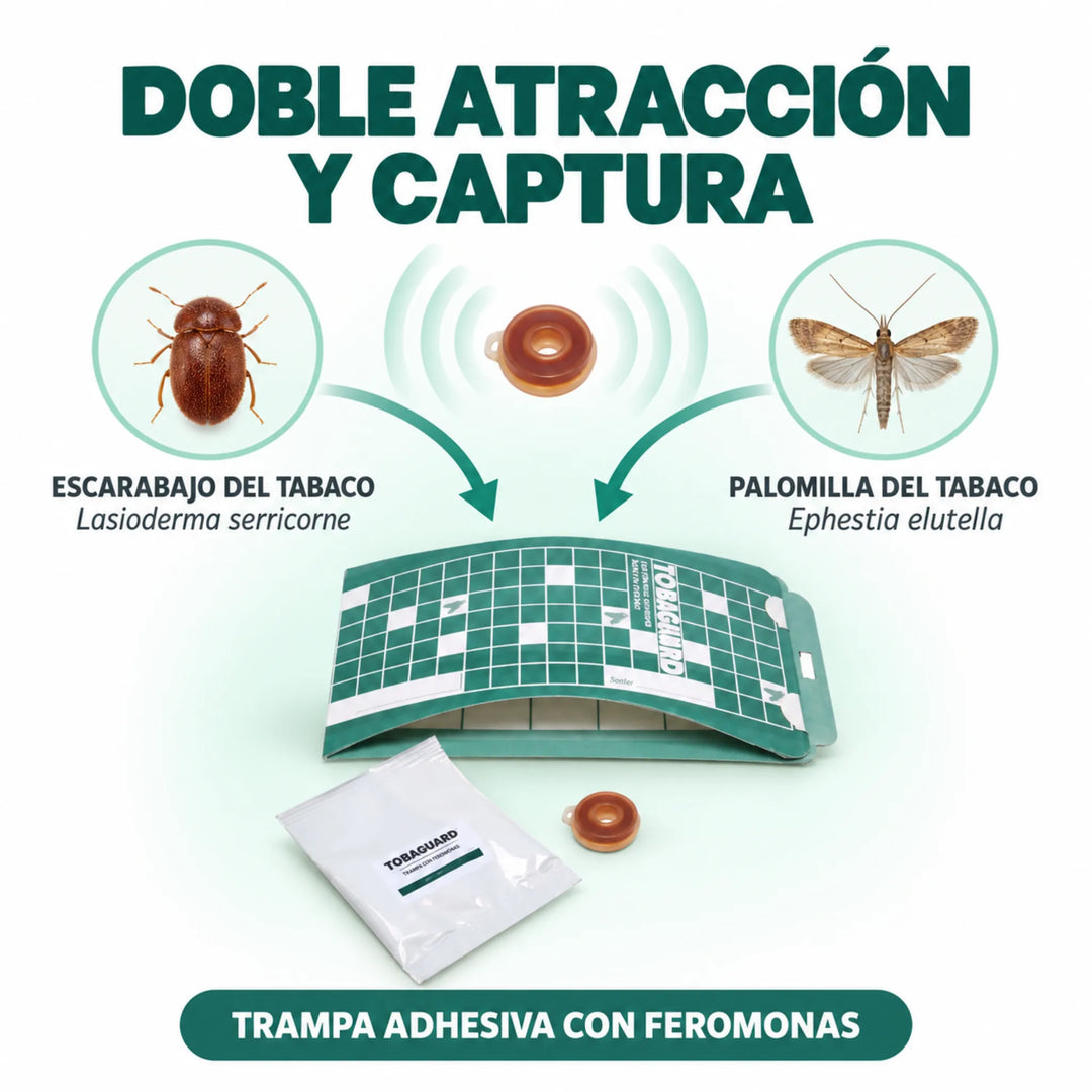 Tobaguard CB/EE 10 uds Trampa para Lasioderma serricorne y Ephestia elutella Plagas del Tabaco
