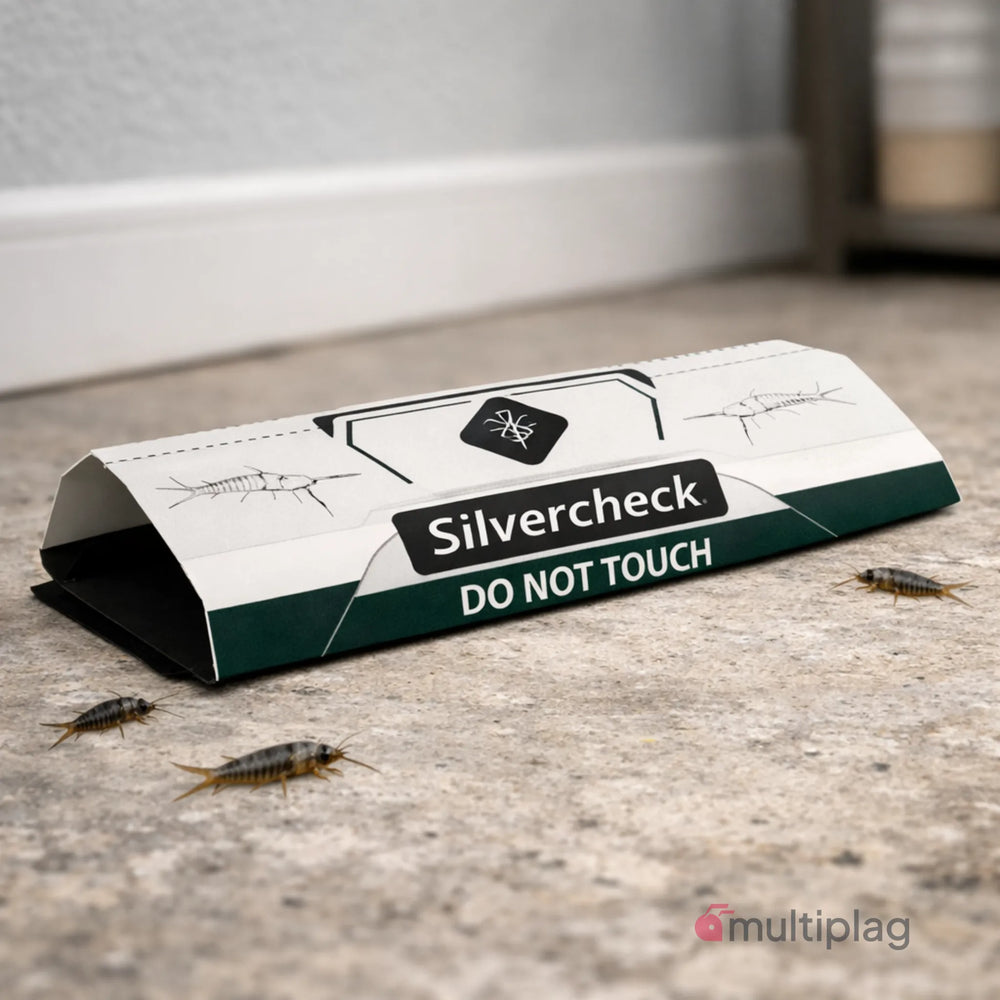 Trampa para capturar pececitos de plata mediante una superficie adhesiva