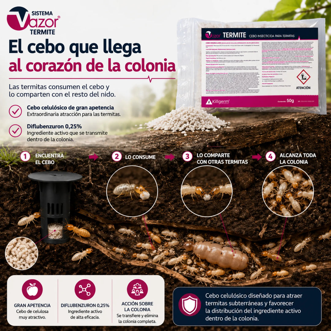 Cebo Vazor Termite para Reticulitermes spp. Eliminación progresiva de colonias mediante transferencia alimentaria