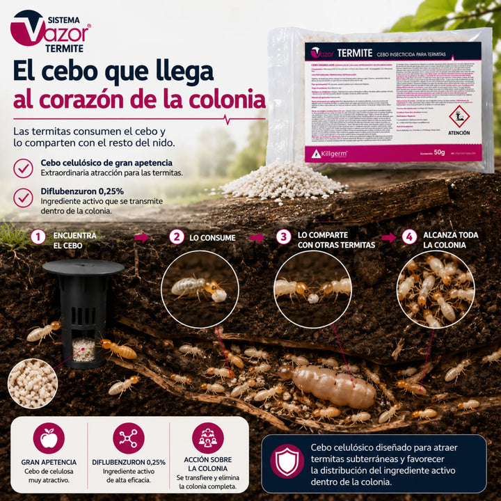 Cebo Vazor Termite para Reticulitermes spp. Eliminación progresiva de colonias mediante transferencia alimentaria
