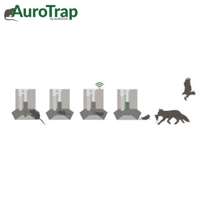 AuroTrap -  Trampa inteligente ratas y ratones