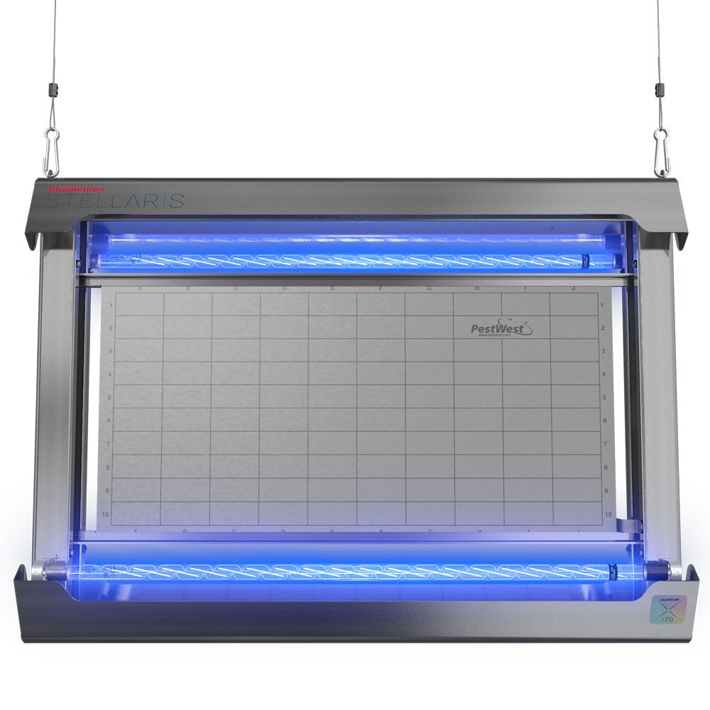 PestWest - Chameleon Stellaris LED trampa moscas y mosquitos