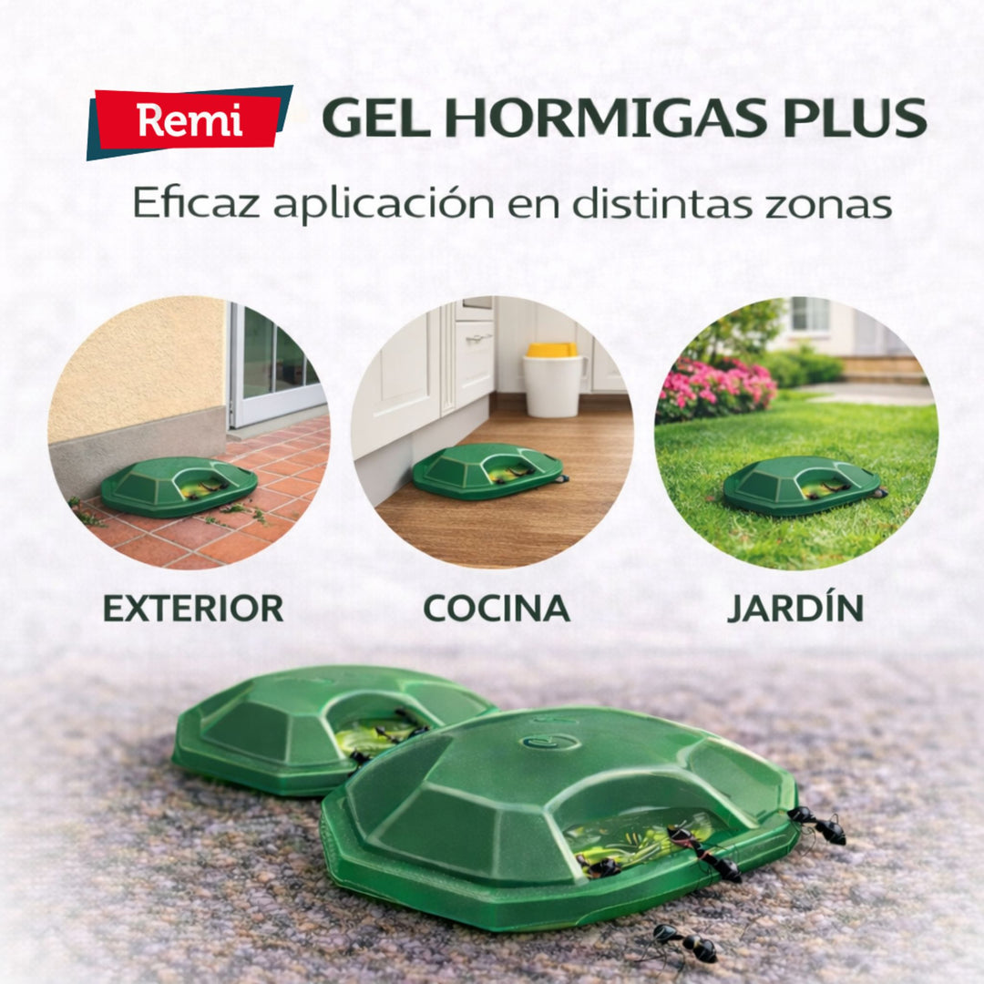 Embalagem de 4 armadilhas de gel para formigas Plus – Controlo eficaz de formigas em ambientes interiores e exteriores