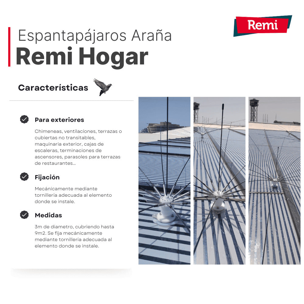 Remi - Espantalho Aranha Éolo