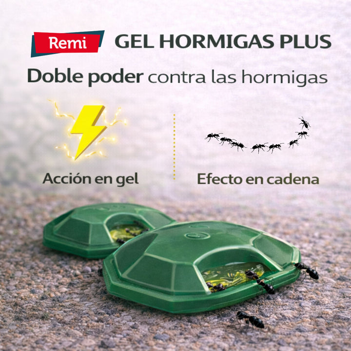 Embalagem de 4 armadilhas de gel para formigas Plus – Controlo eficaz de formigas em ambientes interiores e exteriores
