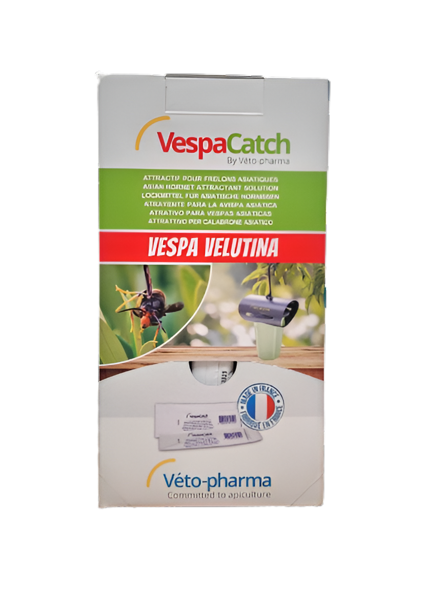 VespaCatch - Atrayente Avispa Velutina